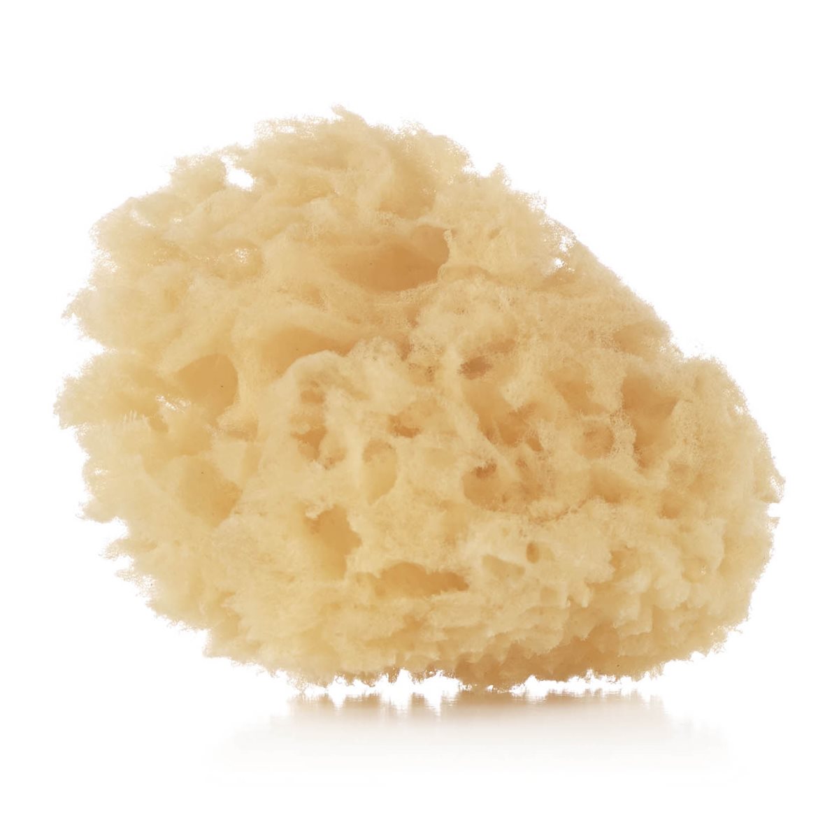Jane Natural Sponges (2 Pack)