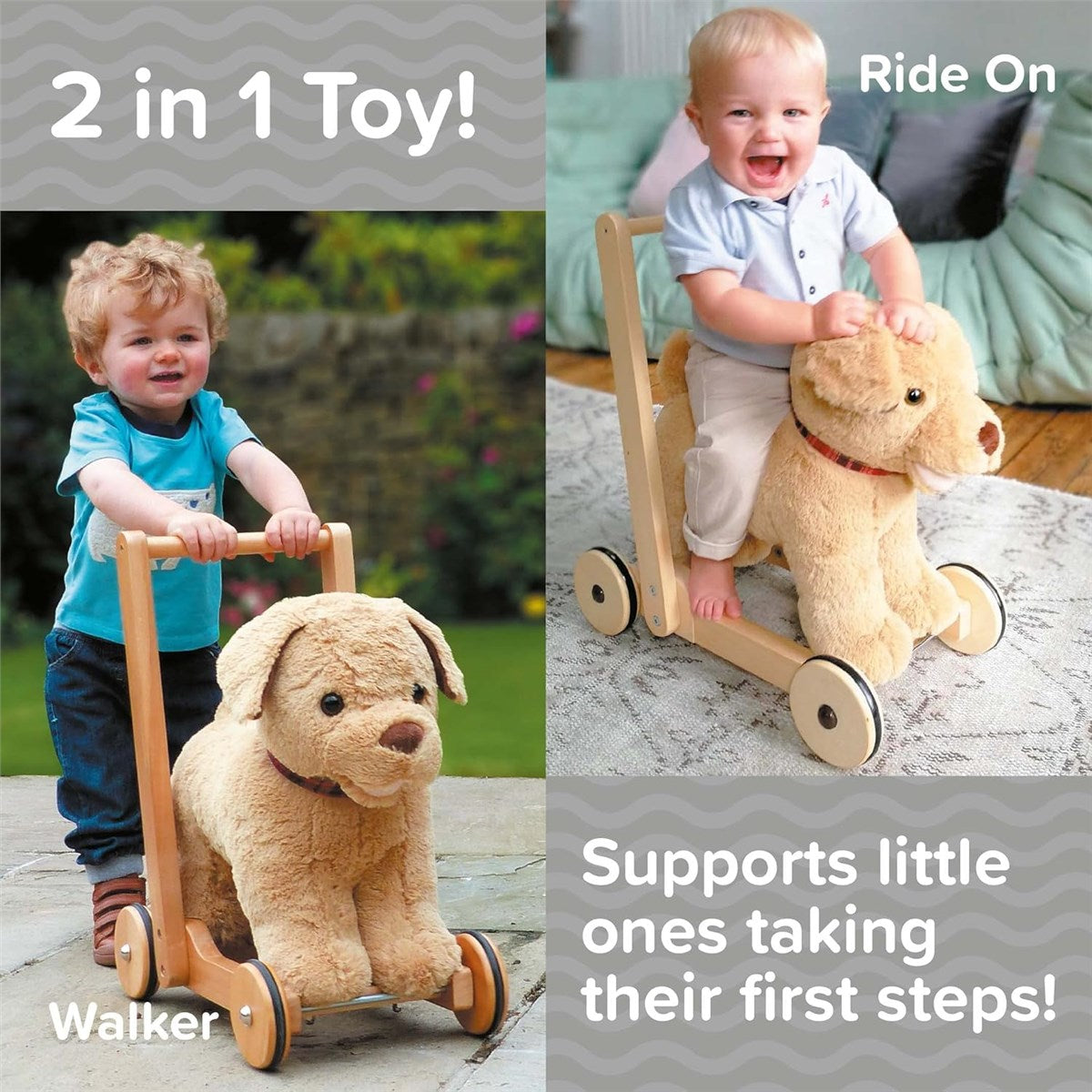 Little Bird Told Me Dexter Dog Push Along Baby Walker