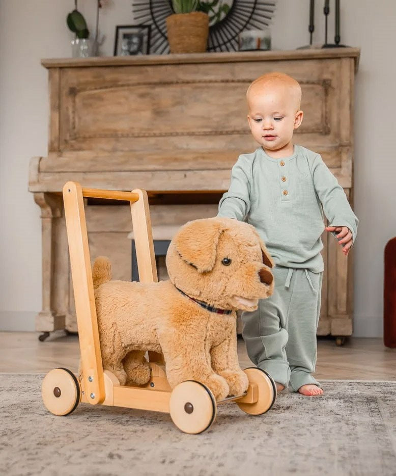 Little Bird Told Me Dexter Dog Push Along Baby Walker