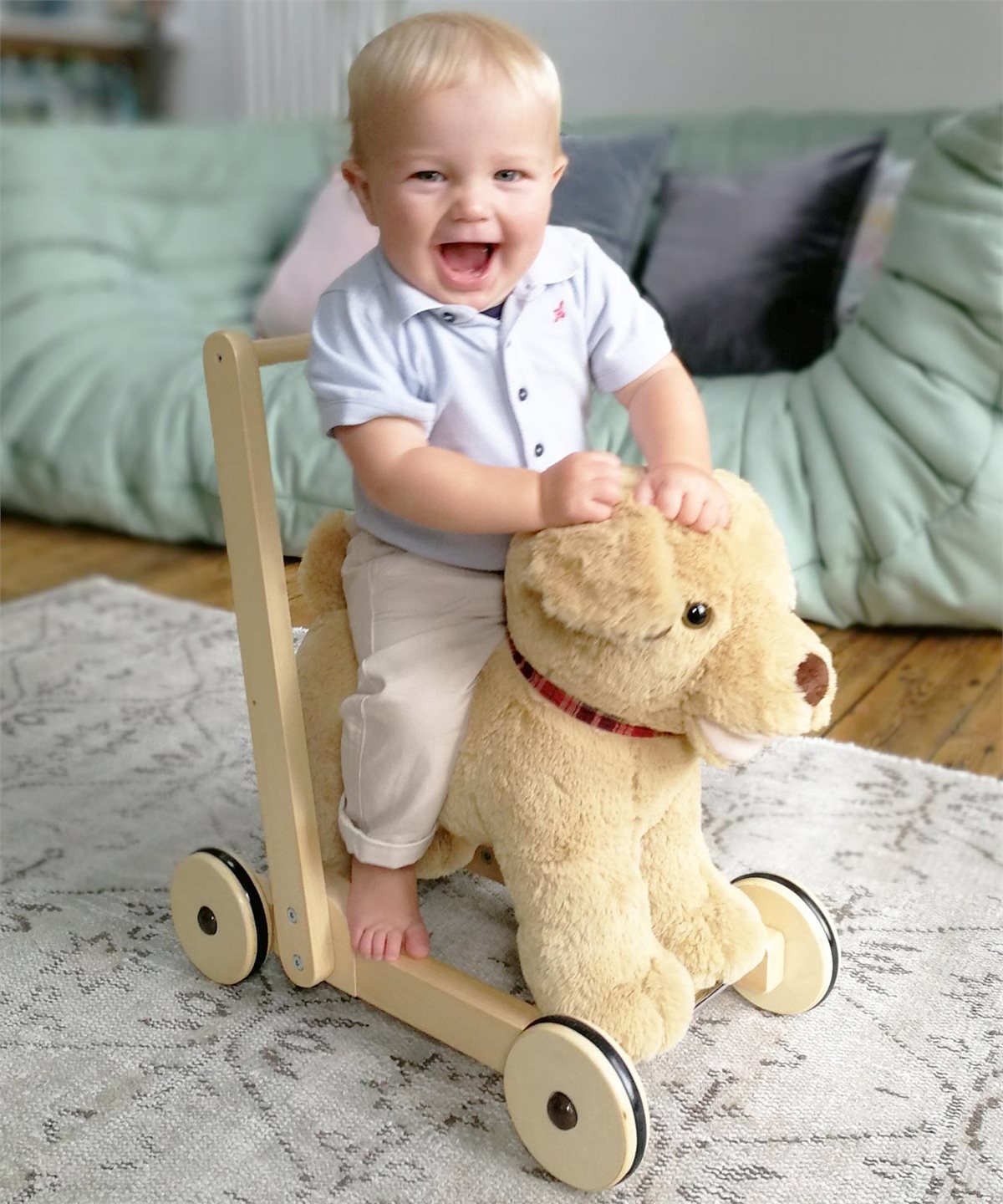 Little Bird Told Me Dexter Dog Push Along Baby Walker