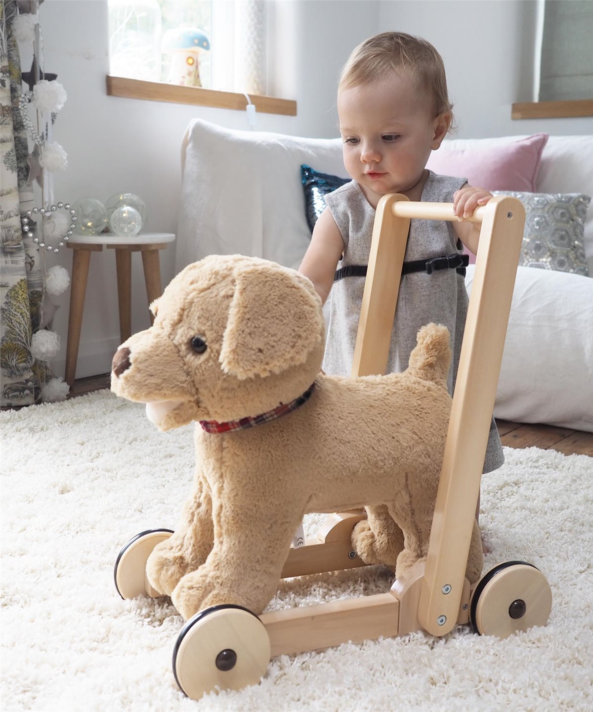 Little Bird Told Me Dexter Dog Push Along Baby Walker