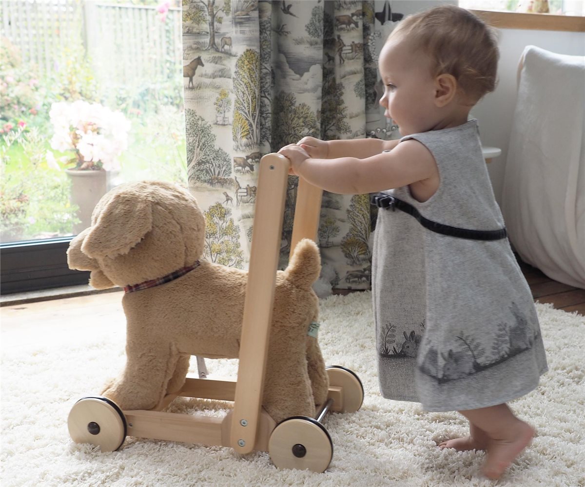 Little Bird Told Me Dexter Dog Push Along Baby Walker