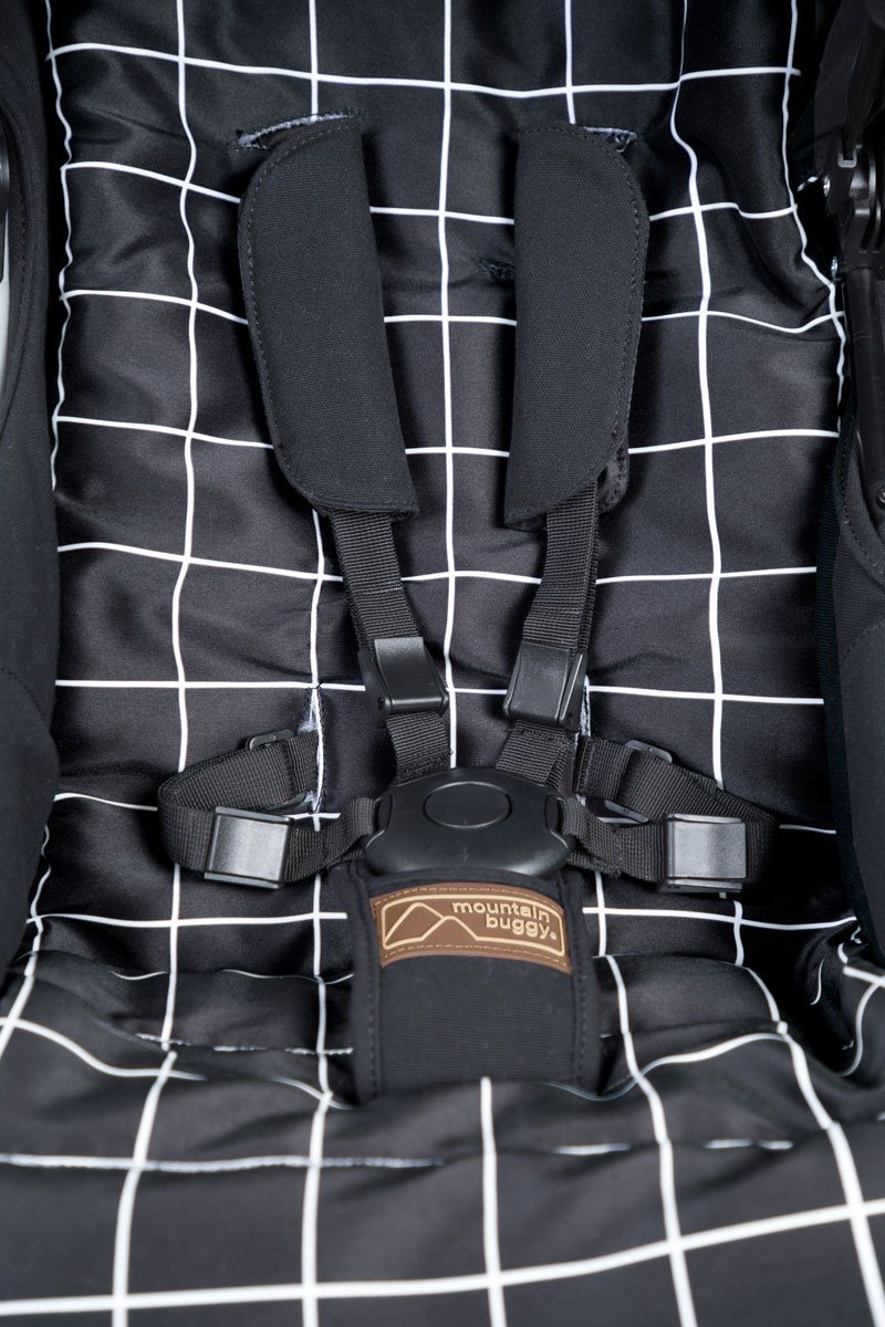 Mountain Buggy Duet v3