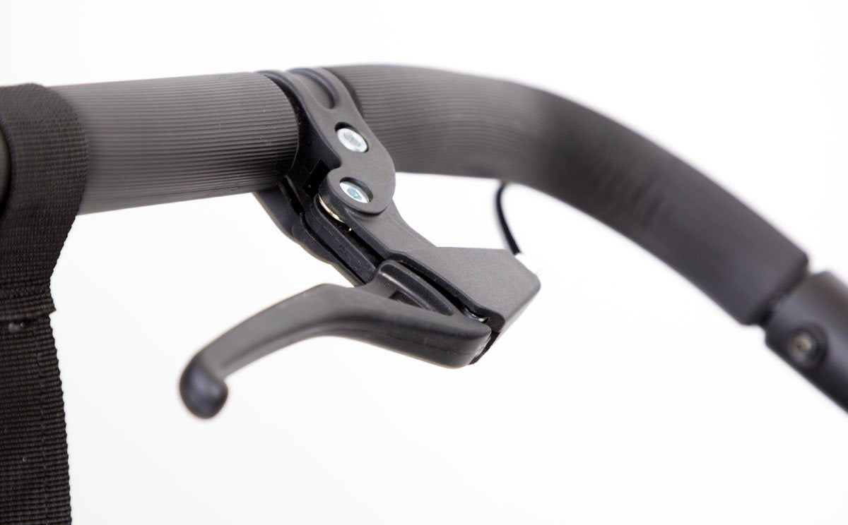 Mountain Buggy Duet v3