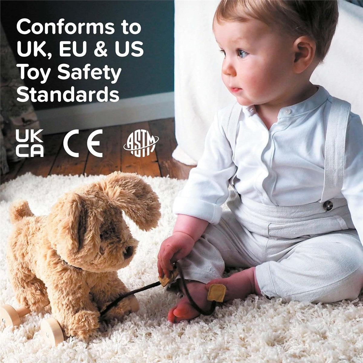 Little Bird Told Me Dexter Dog 2-in-1 Pull Along Toy