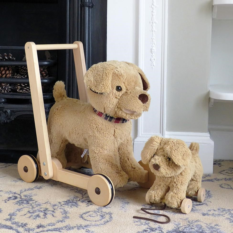 Little Bird Told Me Dexter Dog 2-in-1 Pull Along Toy