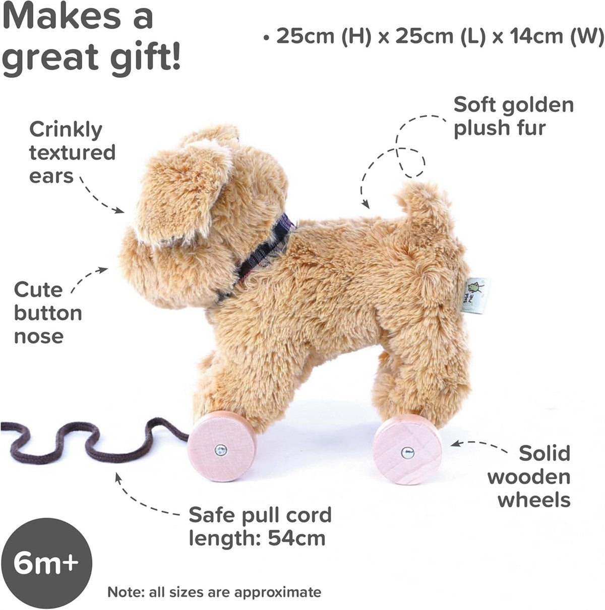 Little Bird Told Me Dexter Dog 2-in-1 Pull Along Toy