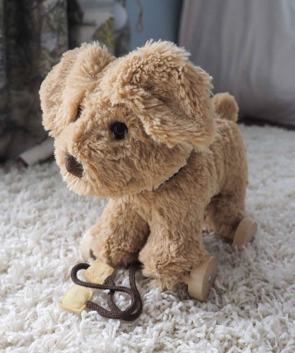 Little Bird Told Me Dexter Dog 2-in-1 Pull Along Toy