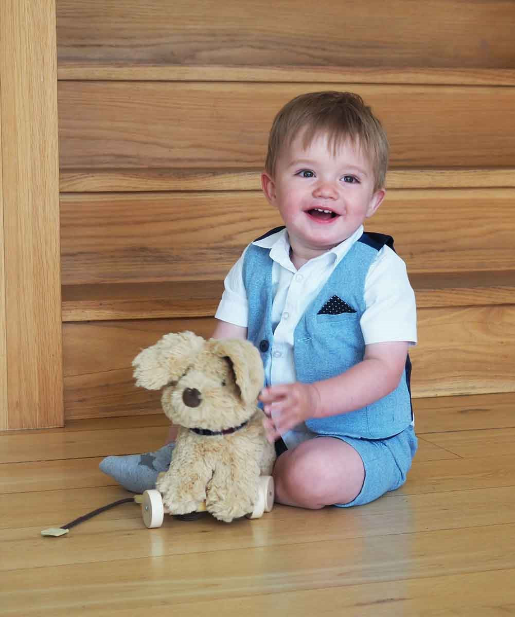 Little Bird Told Me Dexter Dog 2-in-1 Pull Along Toy