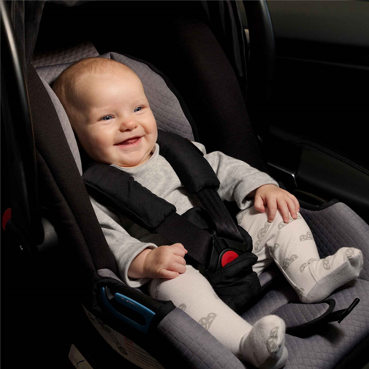 Mountain Buggy Protect Car Seat