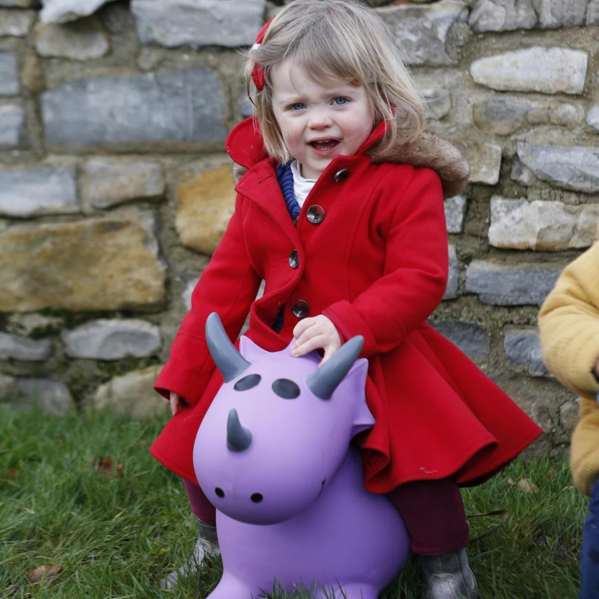 Happy Hopperz Purple Triceratops Inflatable Bouncy Animal Ride-On Toy