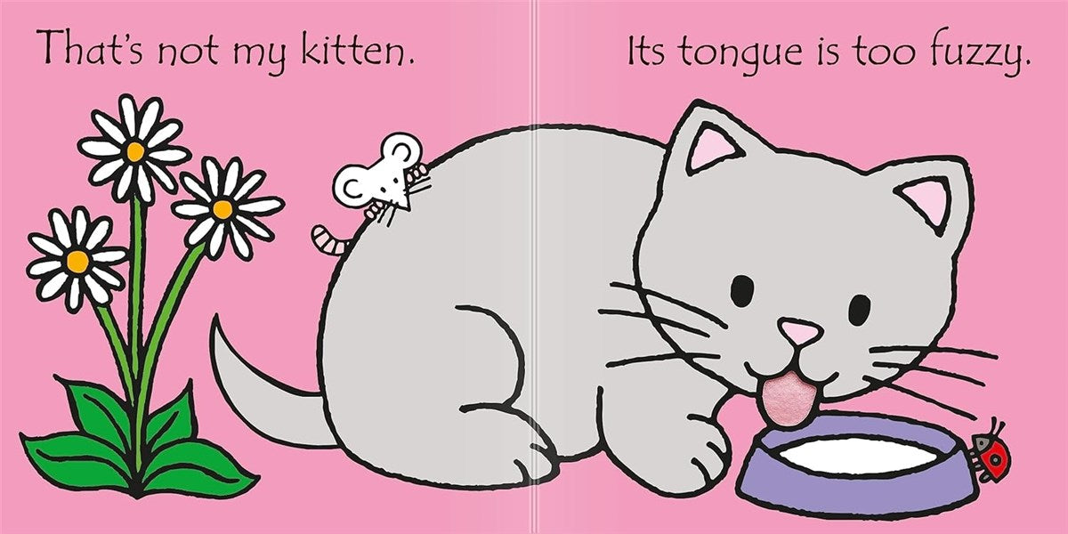 Rainbow Designs That's Not My Kitten Book