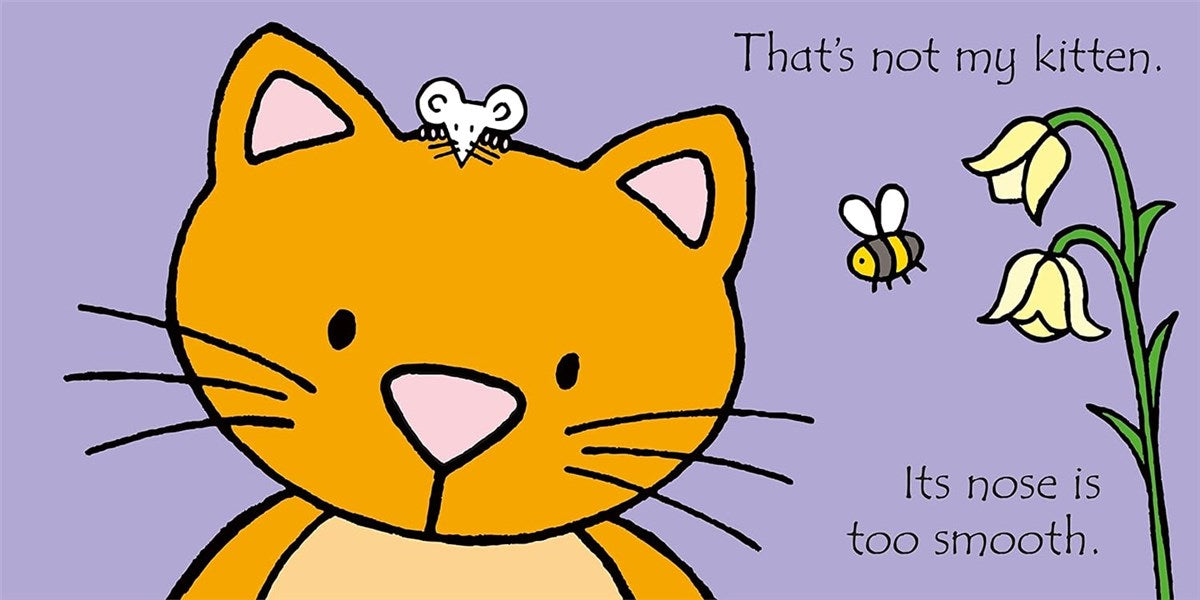 Rainbow Designs That's Not My Kitten Book