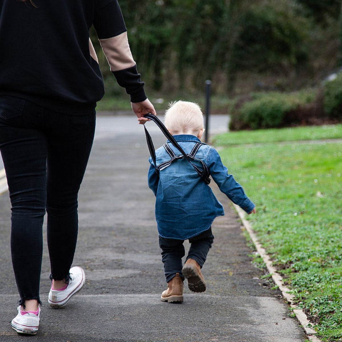 Red Kite Harness & Reins