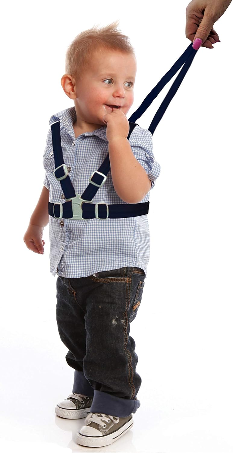 Safety Harness & Reins