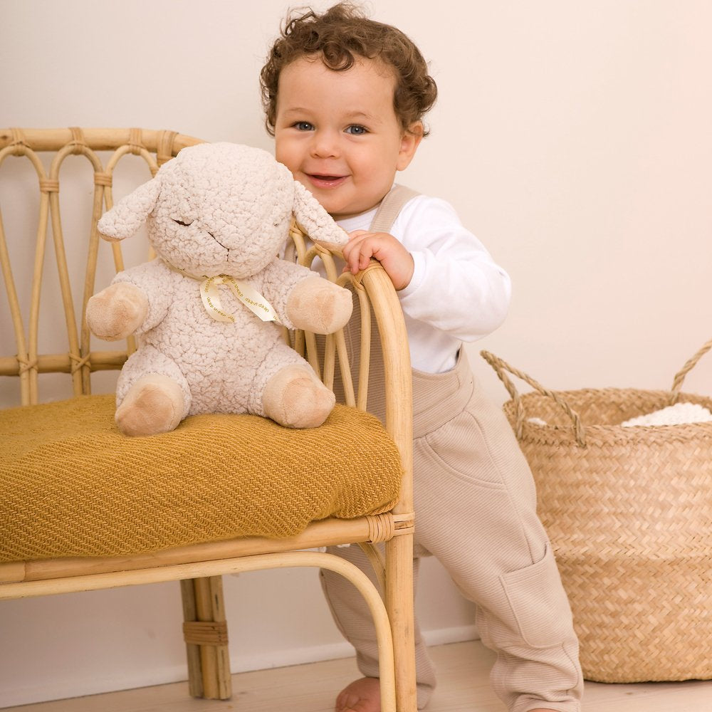 Cloud B Soothing Sounds Stuffed Animal