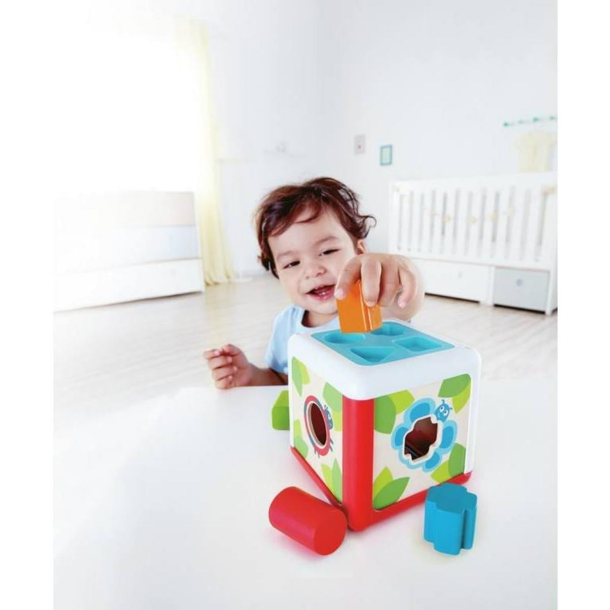 Hape Shape Sorting Box