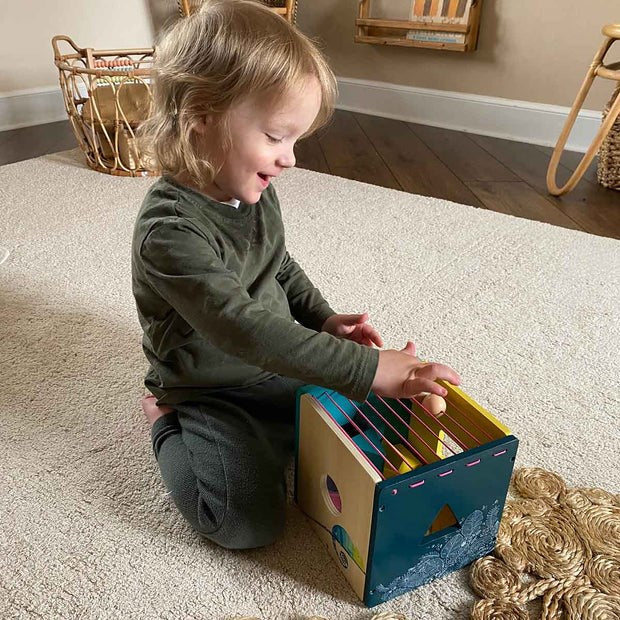 Vilac Under The Canopy Early Sorting Box