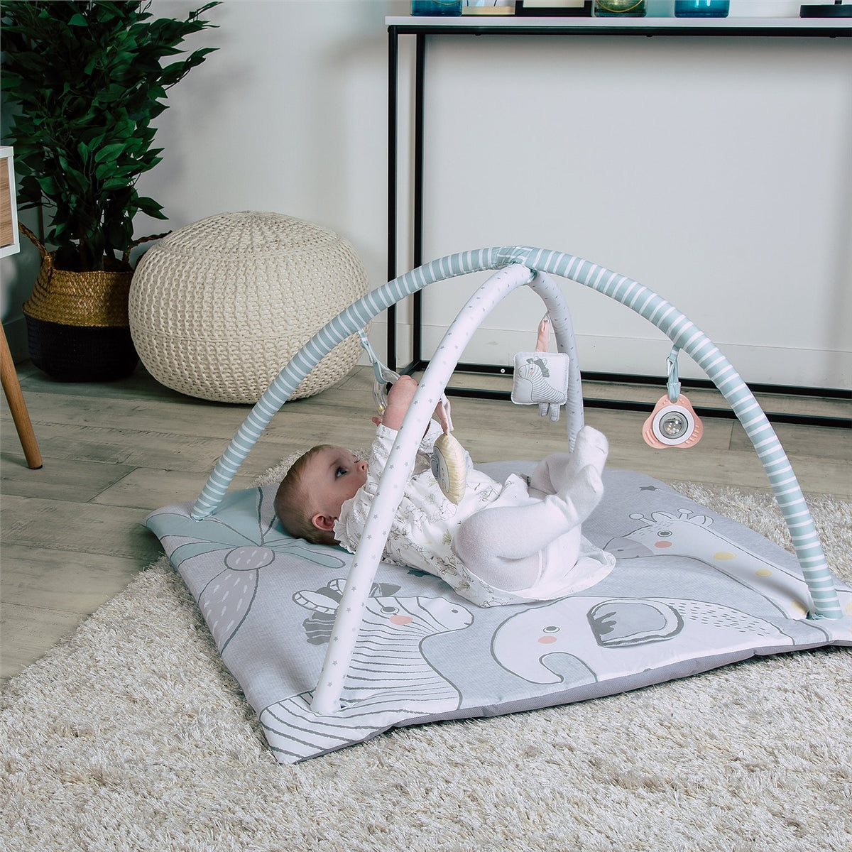 Red Kite Tree Tops Play Gym