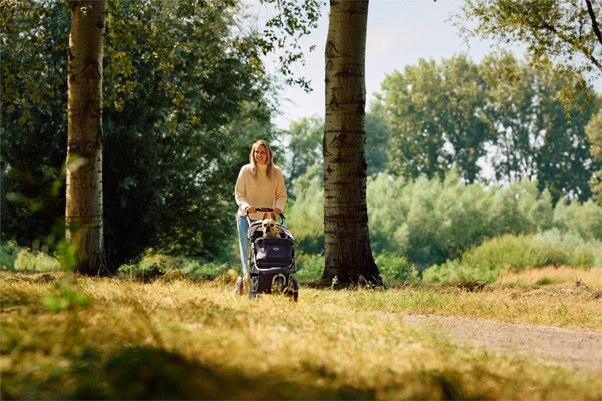 Innopet Comfort EFA ECO Pet Buggy