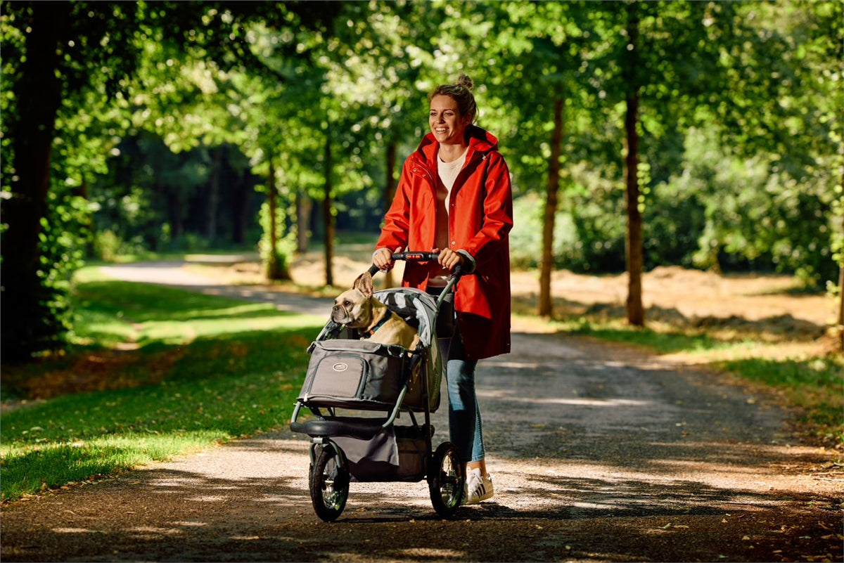 Innopet Comfort EFA ECO Pet Buggy