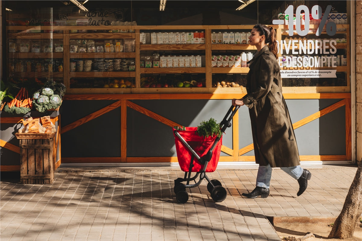 Playmarket We Go Foldable Shopping Trolley