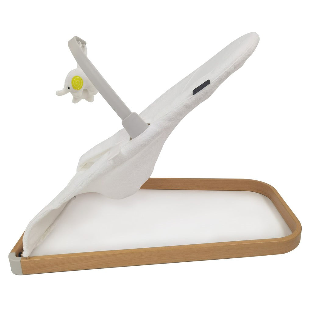 My Babiie Baby Bouncer