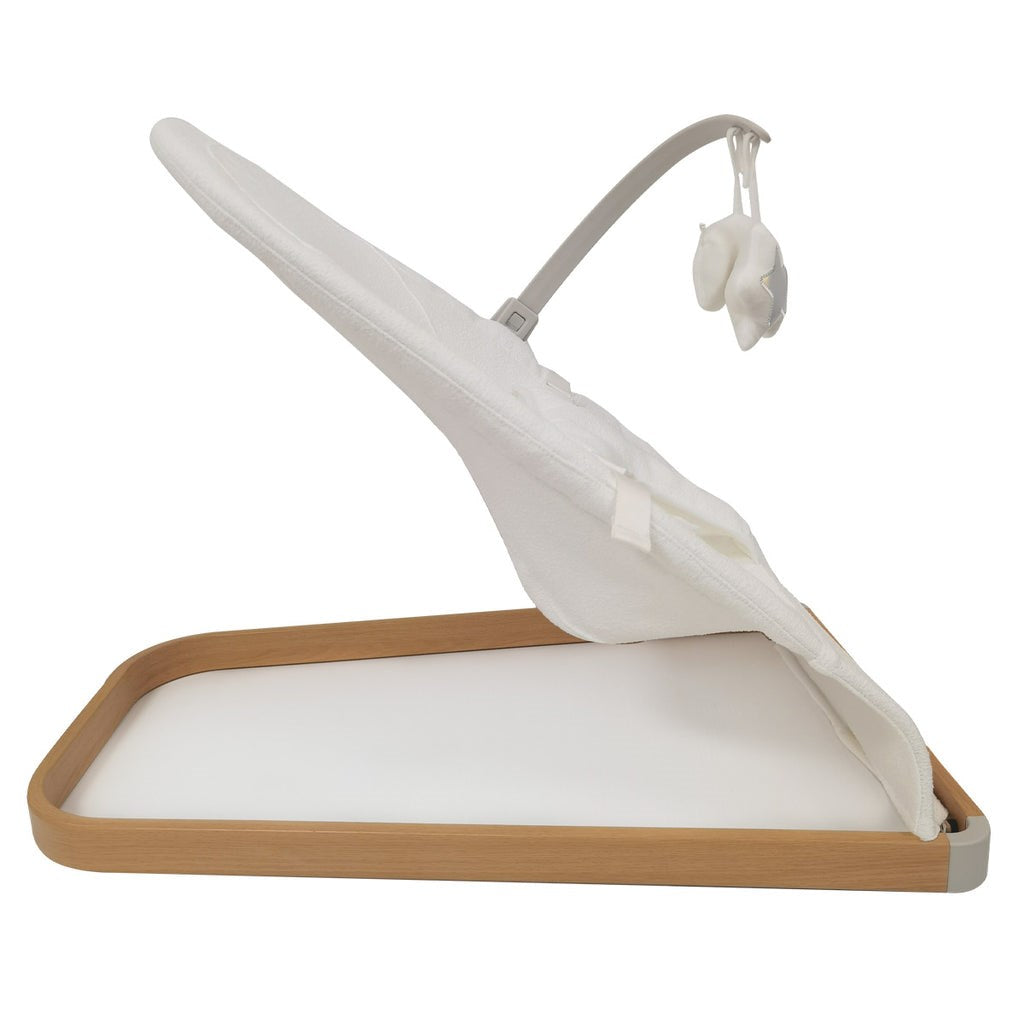 My Babiie Baby Bouncer