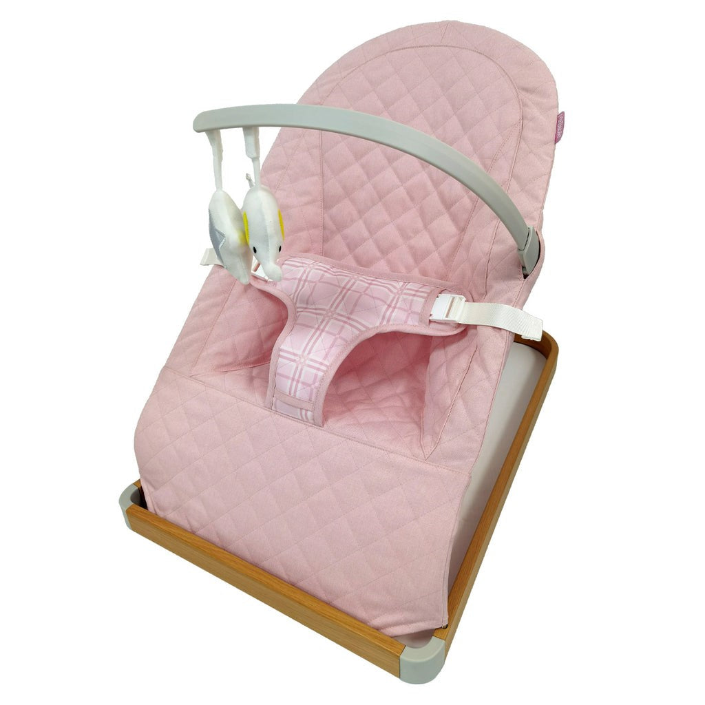 My Babiie Baby Bouncer