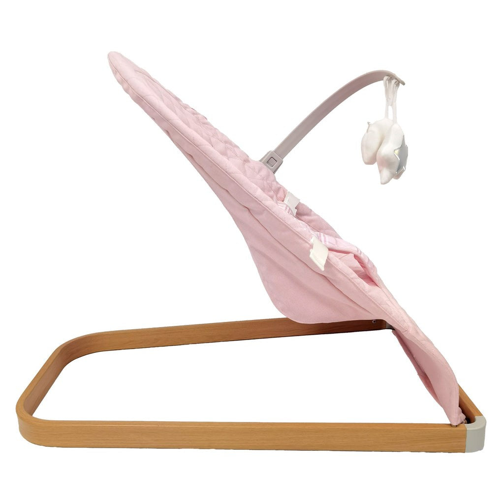 My Babiie Baby Bouncer