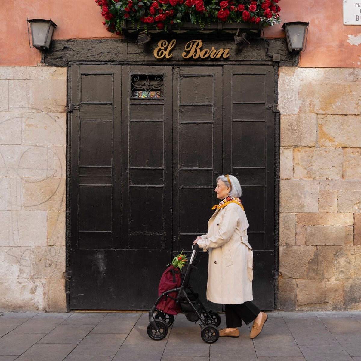 Playcare R05 Walking Aid with Cart & Seat