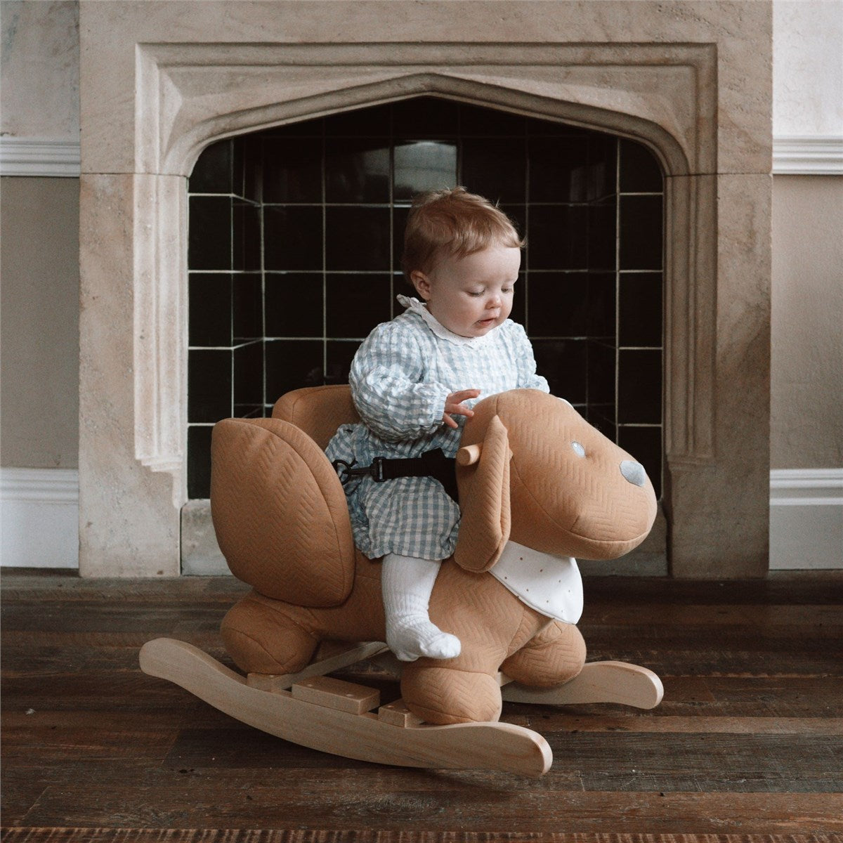 Nattou Charlie the Dog Rocker