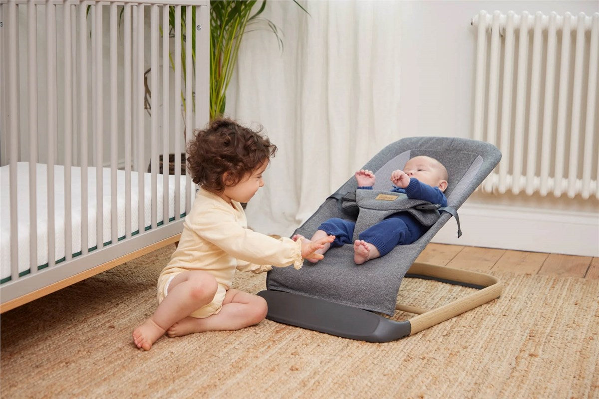 Baby Elegance Allta Bouncer
