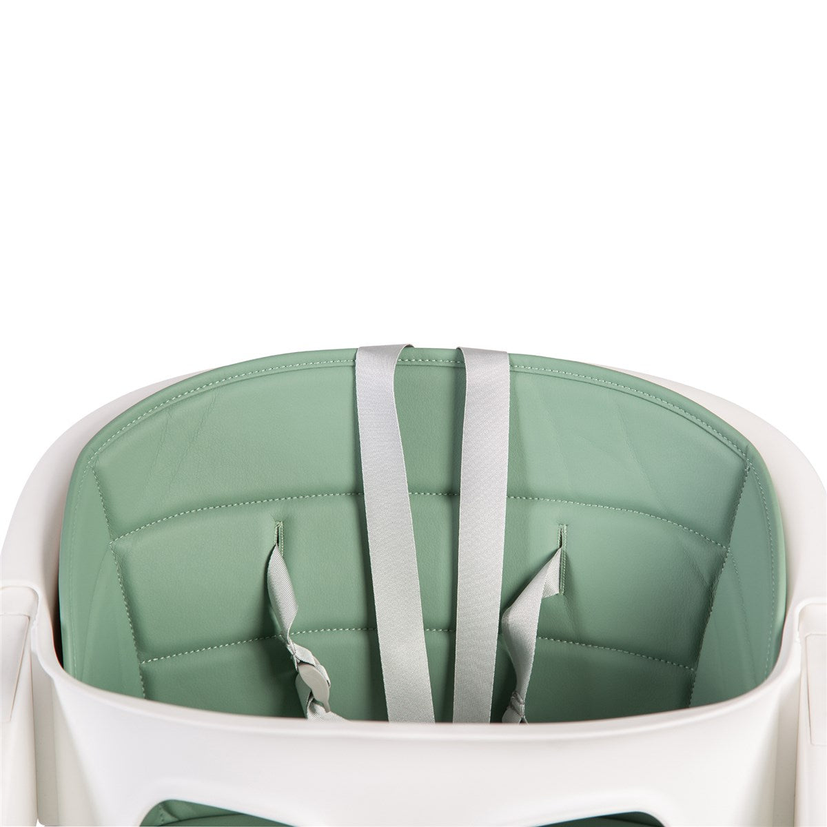 Red Kite Feed Me Klic