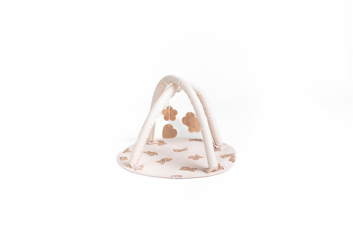 Roma Teddy 10 Piece Accessory Set