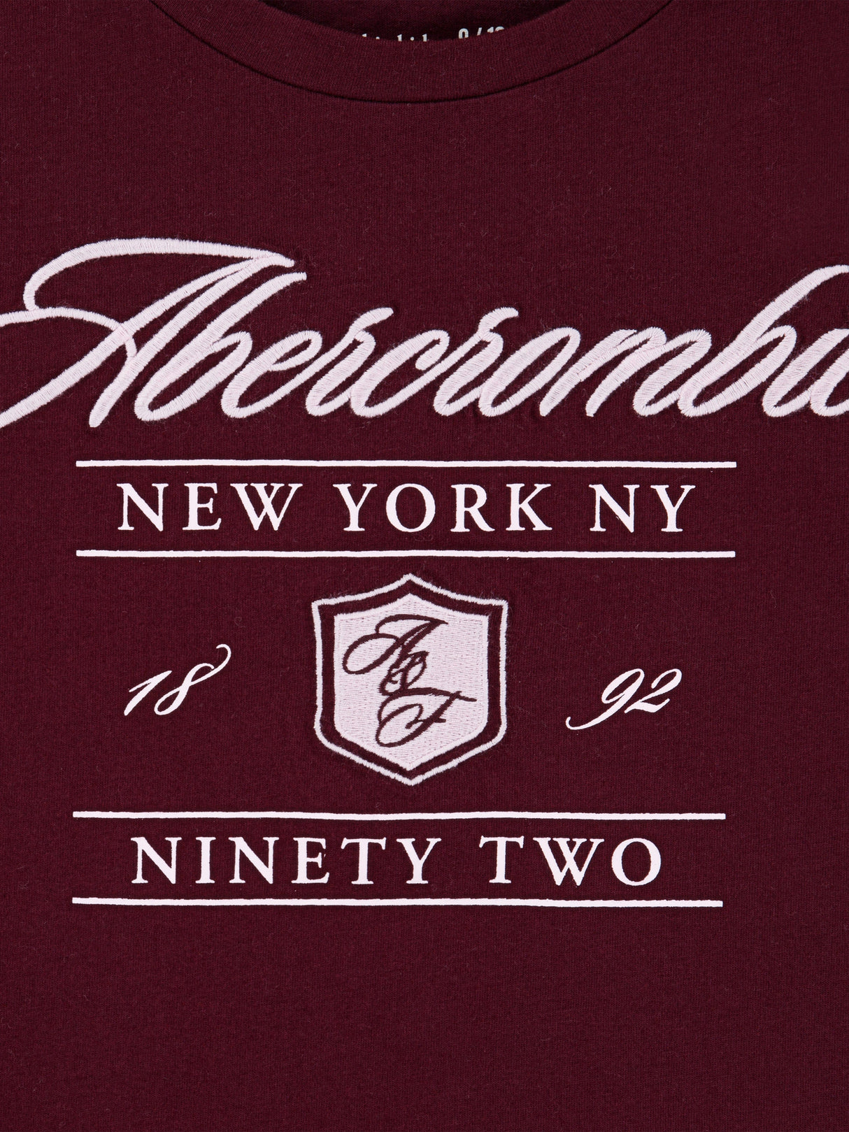 Abercrombie & Fitch Girls Crest Boxy T-Shirt in Red