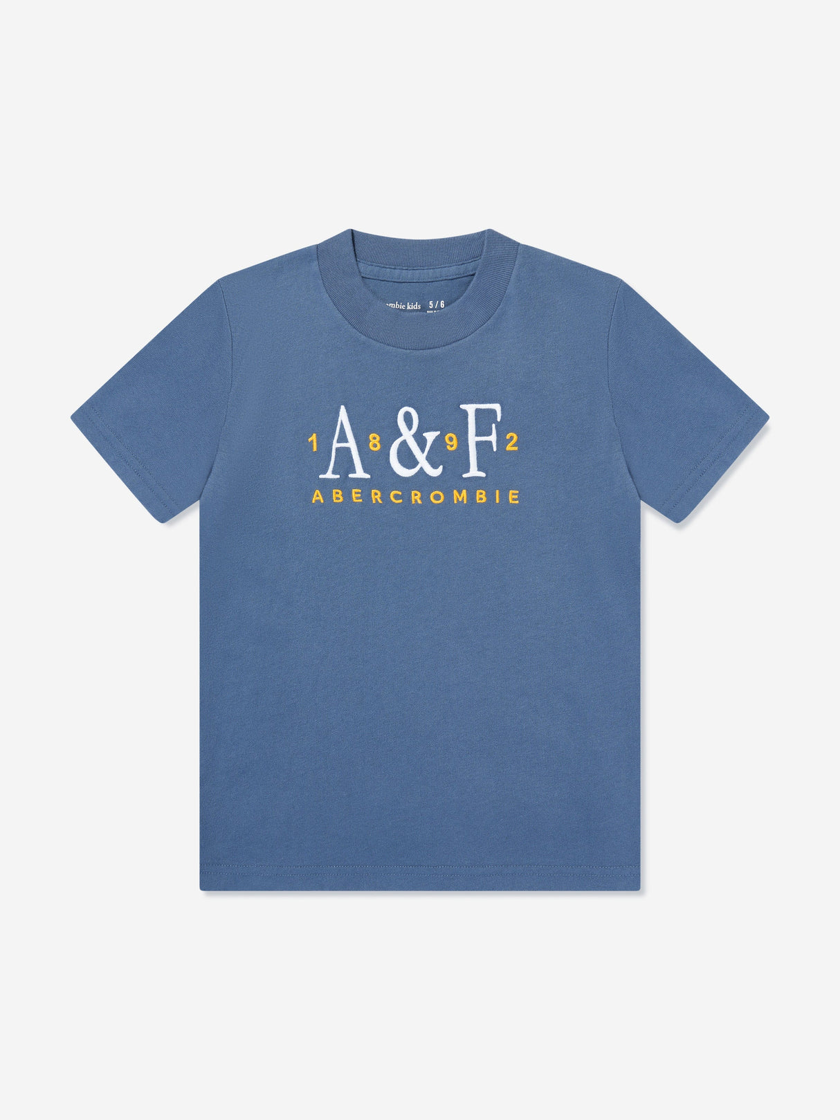 Abercrombie & Fitch Boys Signature T-Shirt in Blue
