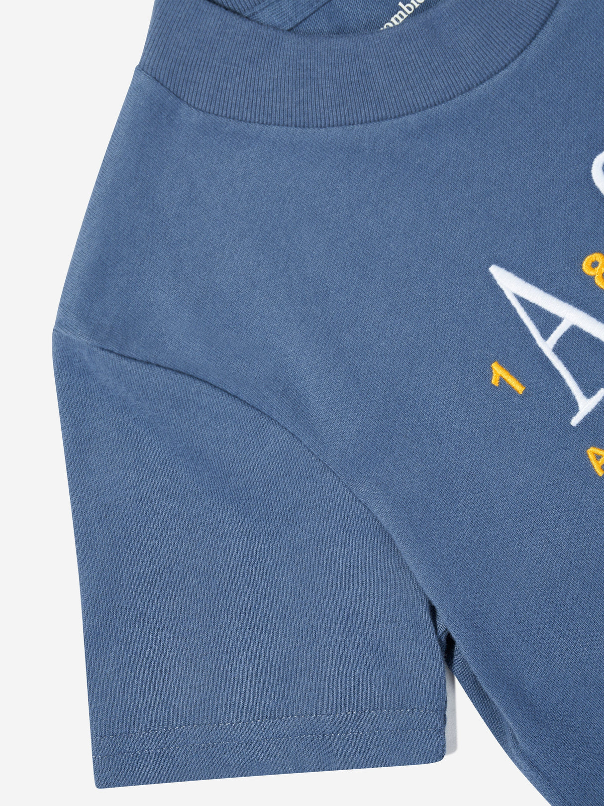 Abercrombie & Fitch Boys Signature T-Shirt in Blue