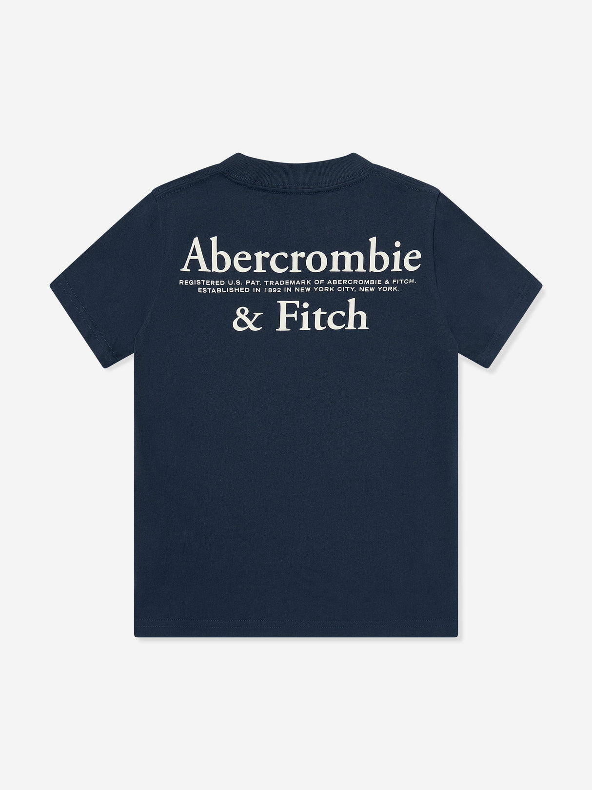 Abercrombie & Fitch Boys Foothills T-Shirt in Navy