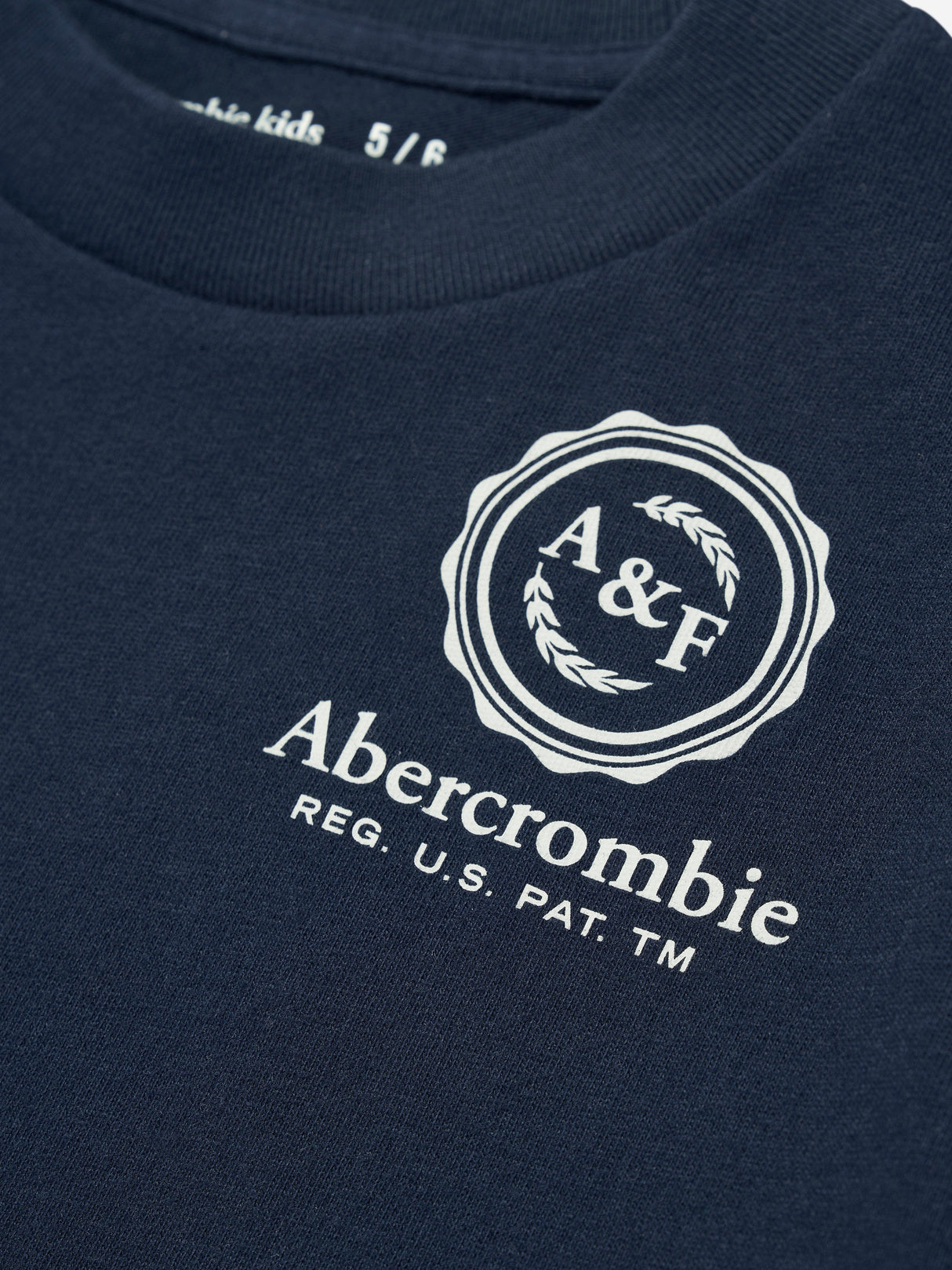 Abercrombie & Fitch Boys Foothills T-Shirt in Navy