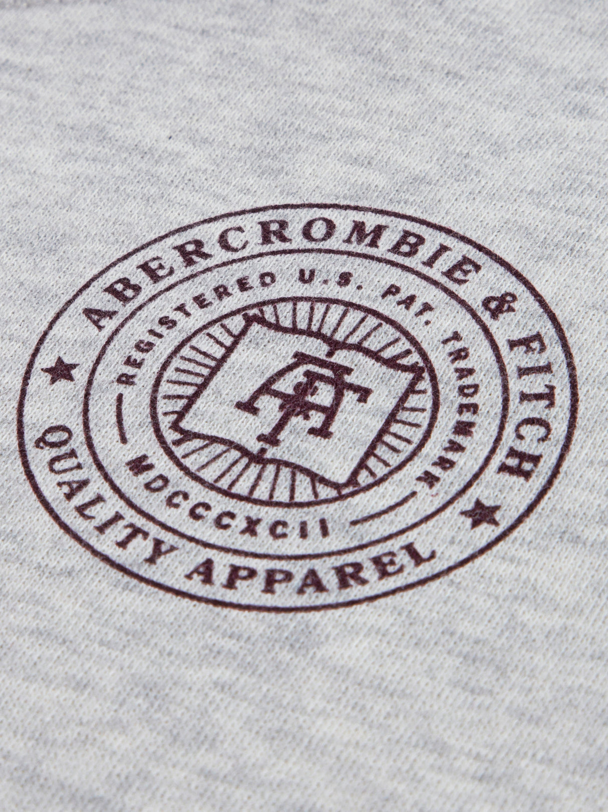 Abercrombie & Fitch Boys Fashion Hoodie in Grey