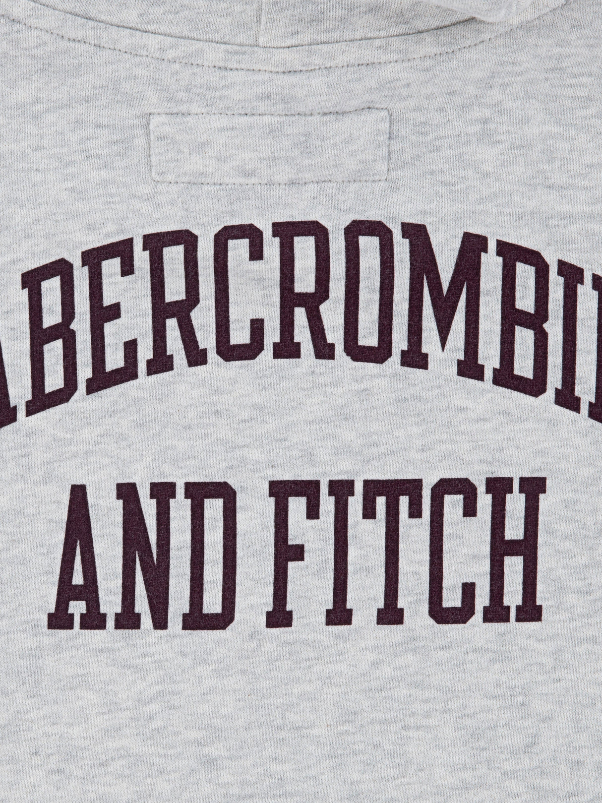 Abercrombie & Fitch Boys Fashion Hoodie in Grey