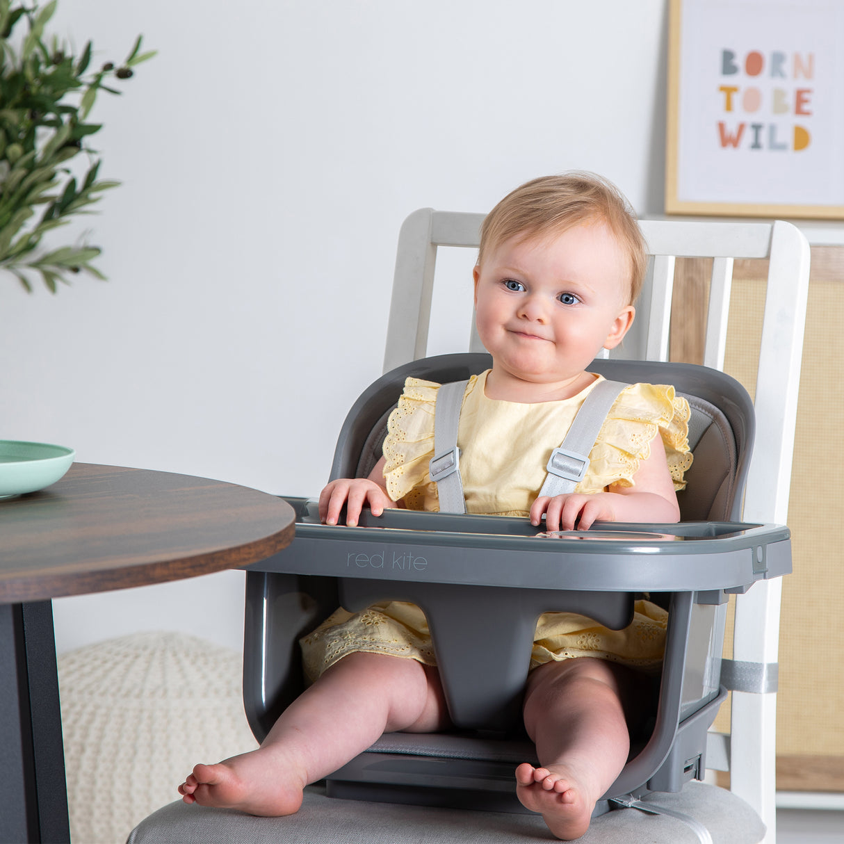 Red Kite Feed Me Orbit Highchair