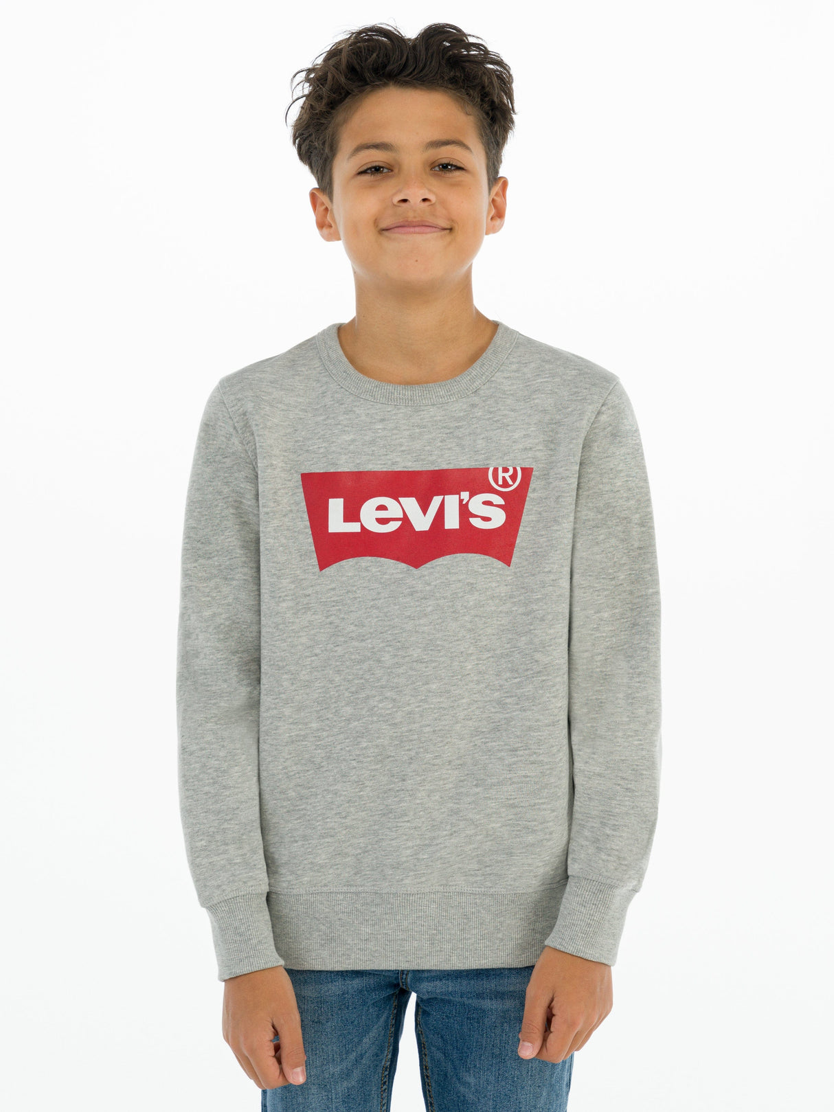 Levi's Boys Batwing Crew Neck Sweatshirt in Grey