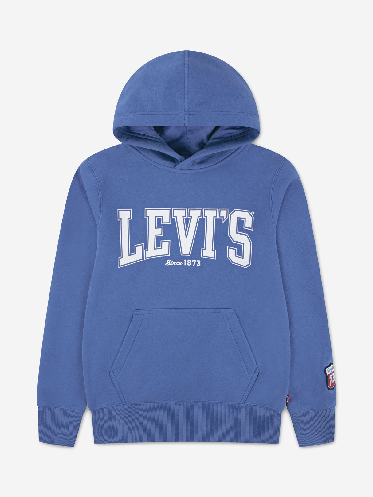 Levi's Boys The Great Highway Hoodie in Blue