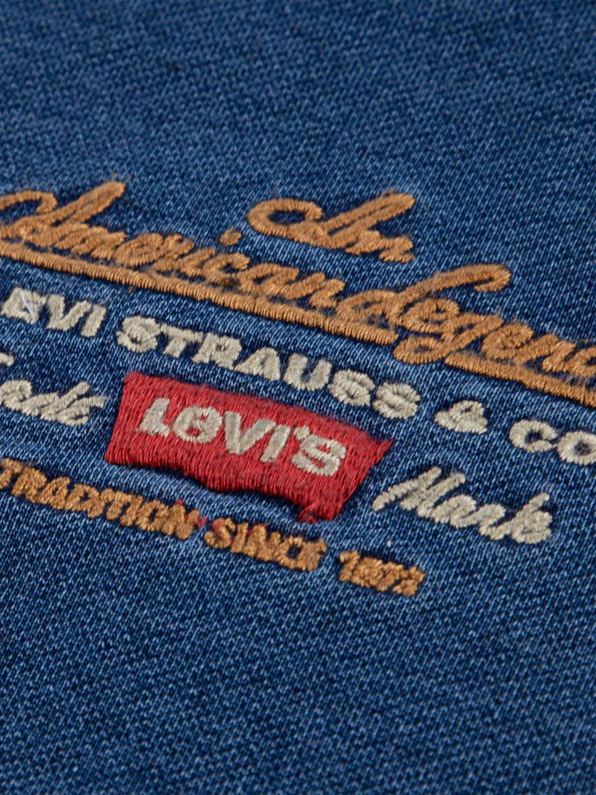 Levi's Boys Legendary Hoodie in Blue