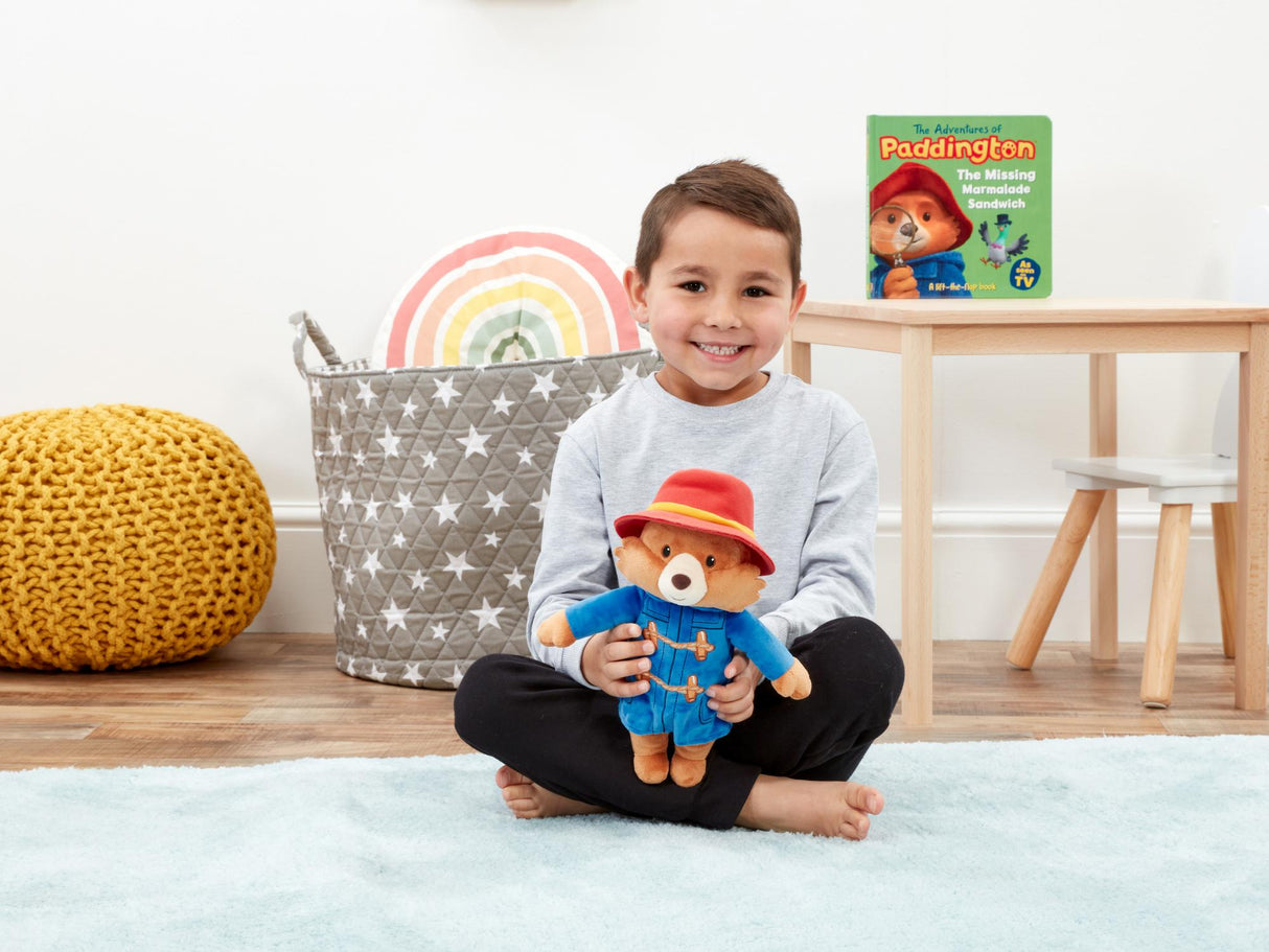 Rainbow Designs Paddington Bear Talking Soft Toy Teddy for Babies and Toddlers, 25cm