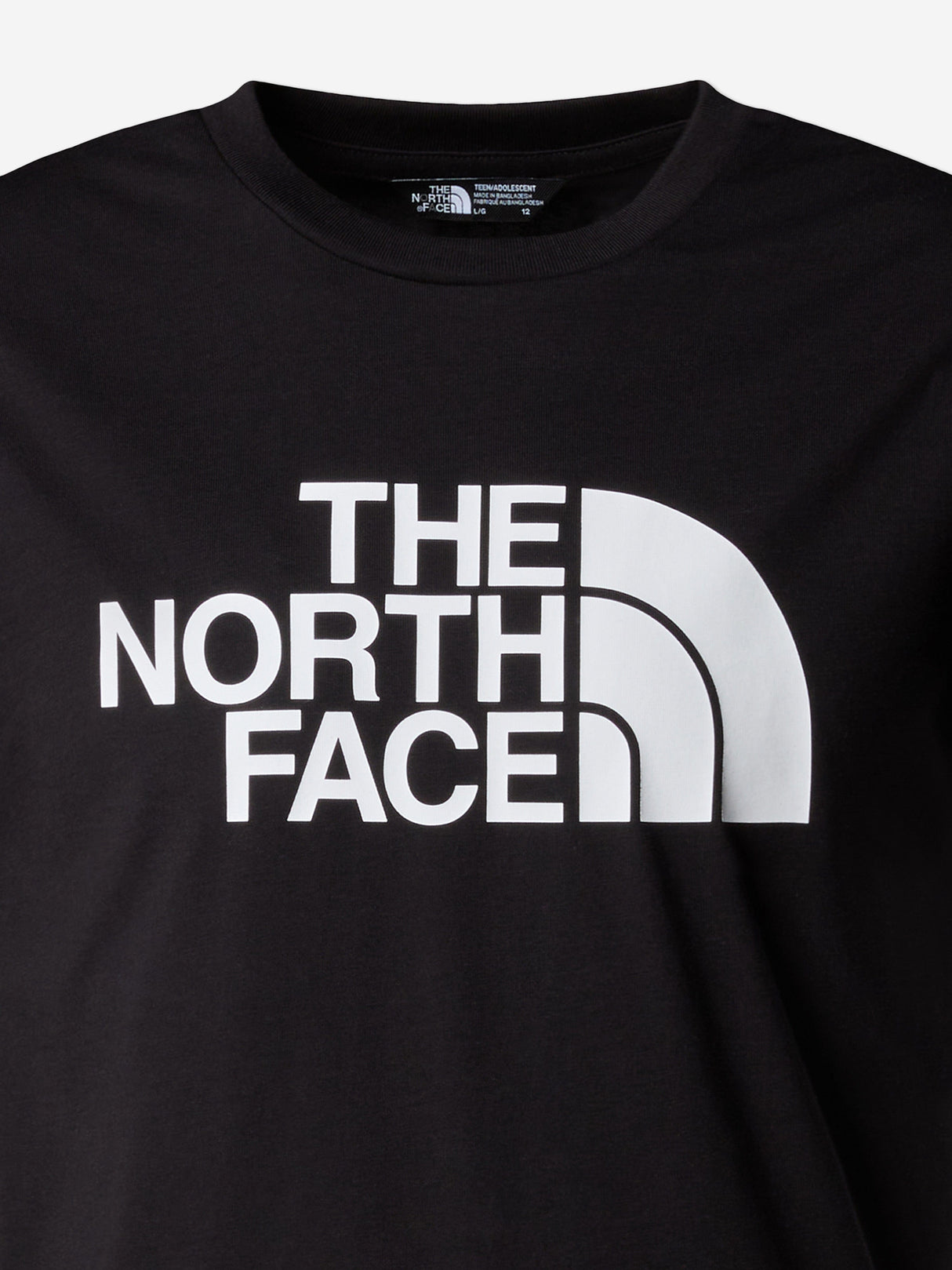 The North Face Kids Easy T-Shirt in Black