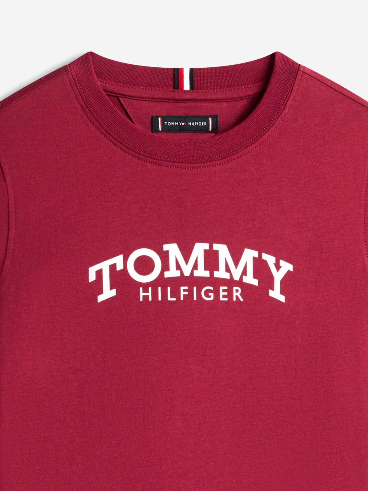 Tommy Hilfiger Boys Monotype Print Graphic T-Shirt in Red