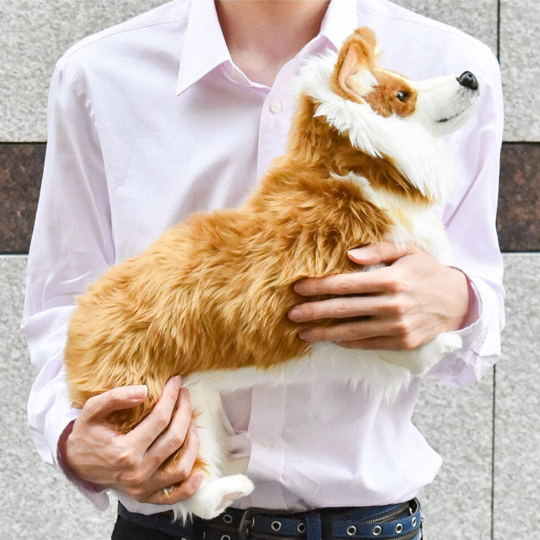 Hansa Welsh Corgi Plush Toy